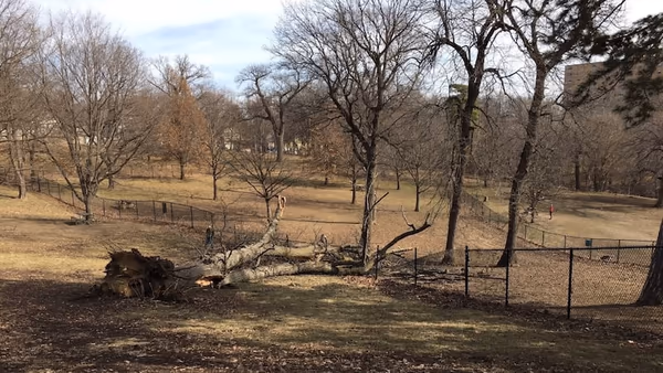 Hanscom Dog Park